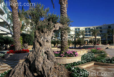 Club Hotel Casino Loutraki 14